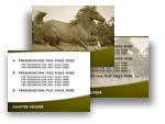Download the Horse PowerPoint Template
