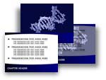 Download the DNA Double Helix PowerPoint Template
